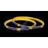 Blue Glittering Fitting Stones Premium Gold Polish Bangles